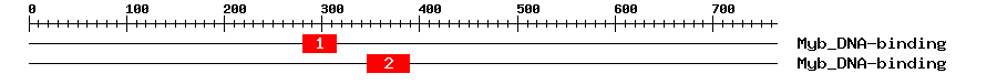 Signature Domain