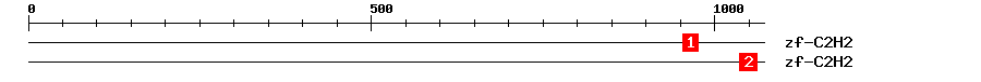Signature Domain