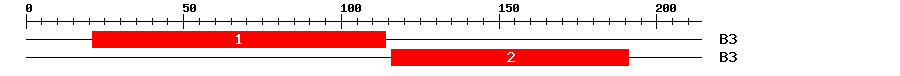 Signature Domain