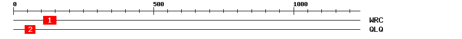 Signature Domain