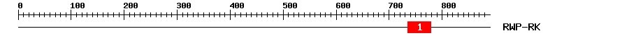 Signature Domain