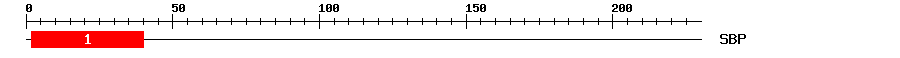Signature Domain