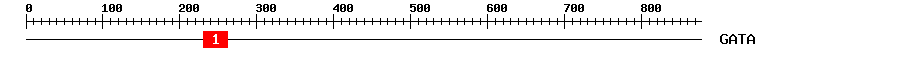 Signature Domain