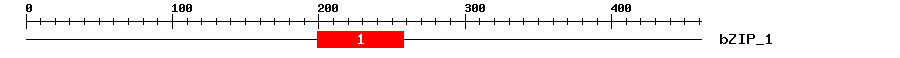 Signature Domain