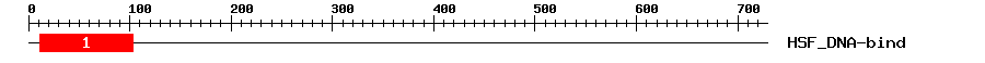Signature Domain