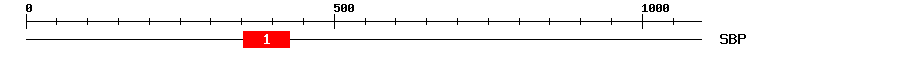 Signature Domain