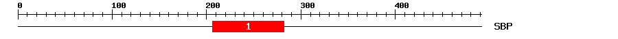 Signature Domain