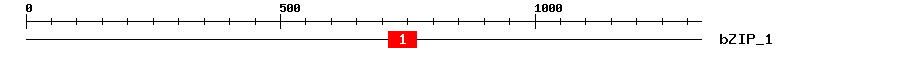 Signature Domain