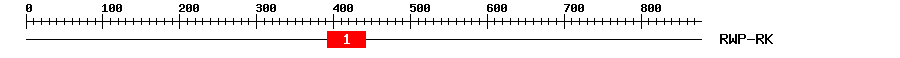 Signature Domain