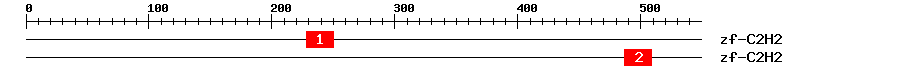 Signature Domain