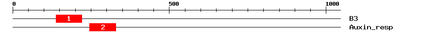 Signature Domain
