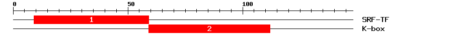 Signature Domain