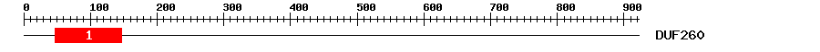 Signature Domain