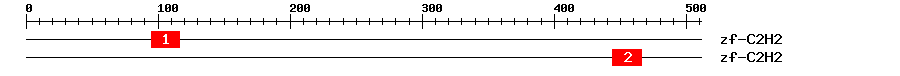 Signature Domain