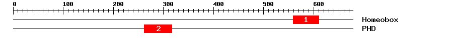 Signature Domain