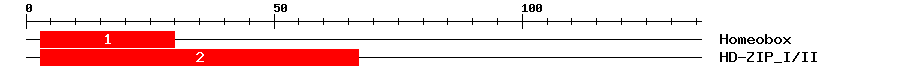 Signature Domain