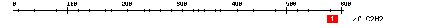 Signature Domain