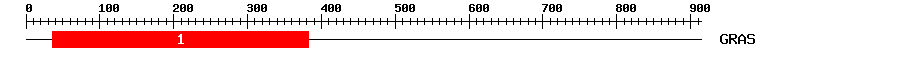 Signature Domain