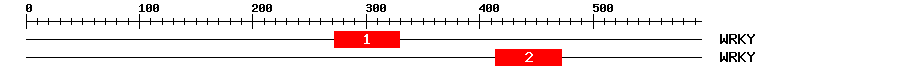 Signature Domain