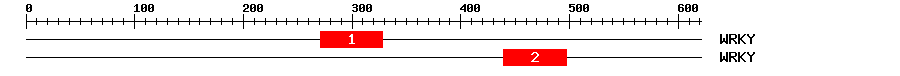 Signature Domain