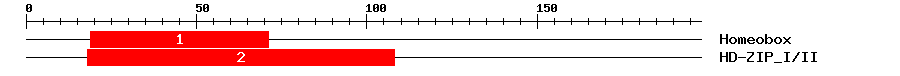Signature Domain