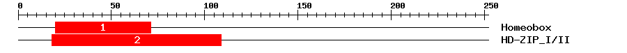Signature Domain