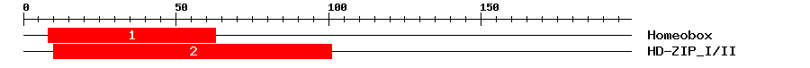 Signature Domain