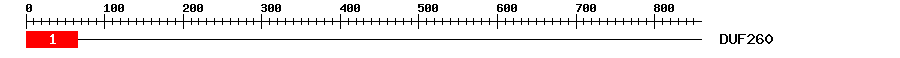 Signature Domain
