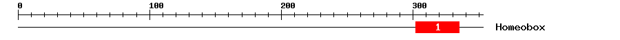 Signature Domain