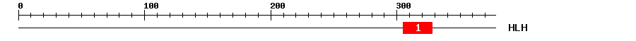 Signature Domain