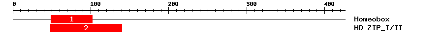 Signature Domain