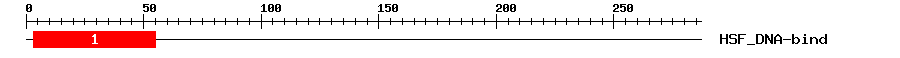 Signature Domain