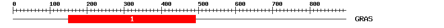 Signature Domain