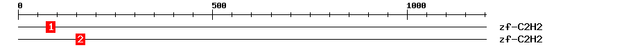 Signature Domain