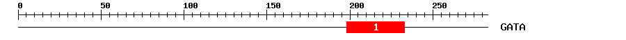 Signature Domain