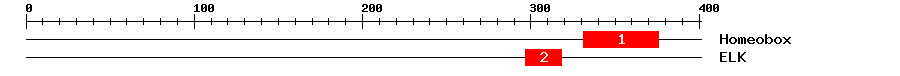 Signature Domain
