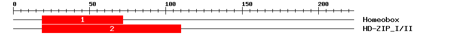 Signature Domain