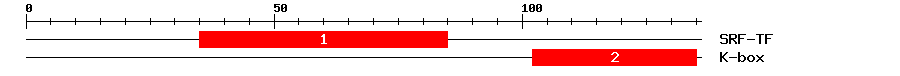 Signature Domain
