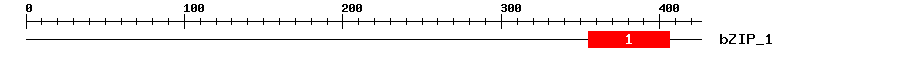 Signature Domain