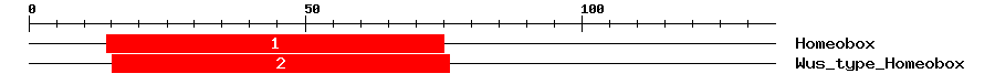 Signature Domain