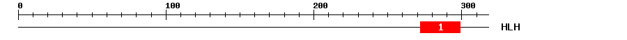 Signature Domain