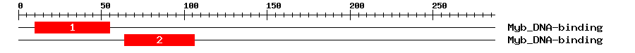 Signature Domain
