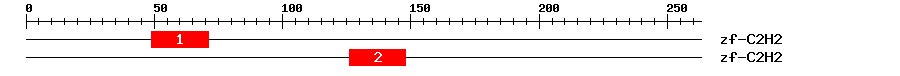 Signature Domain