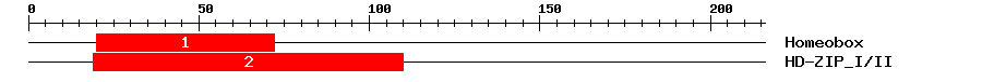 Signature Domain