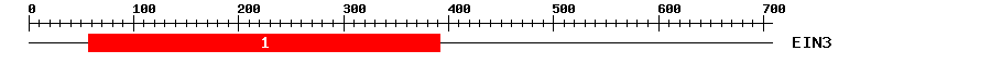 Signature Domain