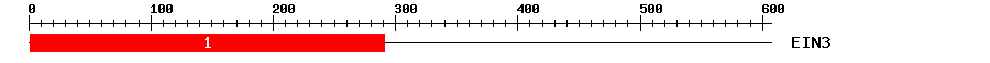 Signature Domain