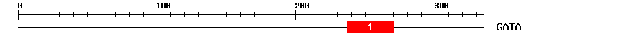 Signature Domain