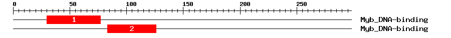 Signature Domain