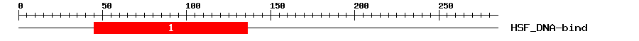 Signature Domain
