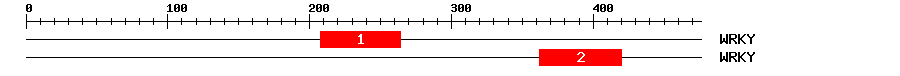 Signature Domain